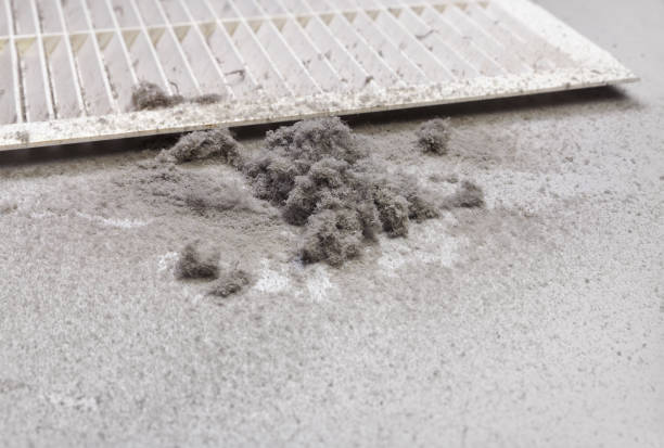 Best HVAC Duct Inspection Services  in Rockwell City, IA